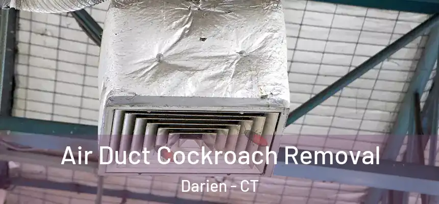  Air Duct Cockroach Removal Darien - CT