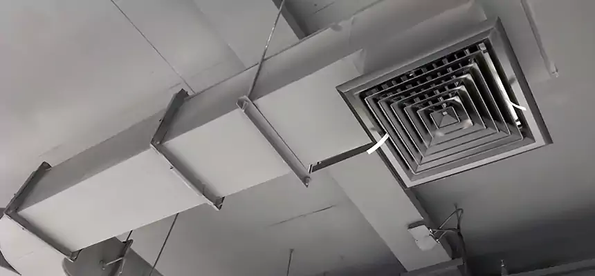 Restorative Allergy Relief Vent Cleaning – Coil, Blower & Housing Detail in Darien