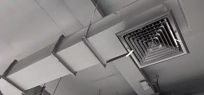 Our Pest Removal From Ducts Services in Darien, CT