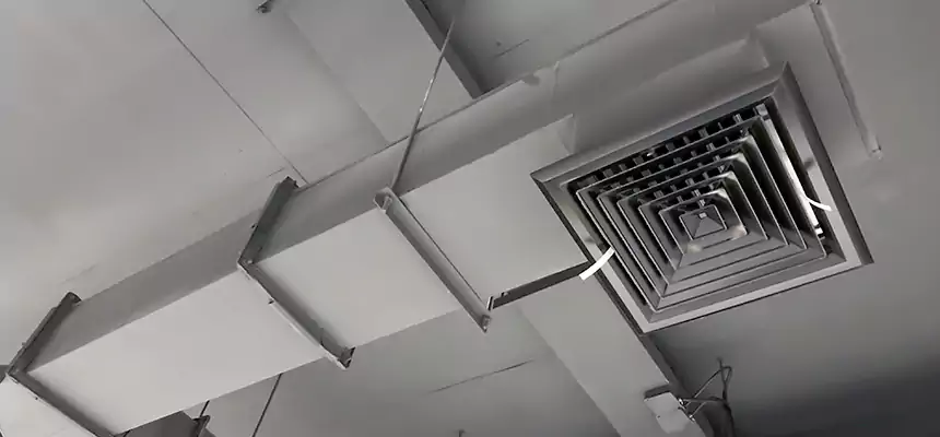 Our Rodent Droppings In Vents Services in Darien, CT