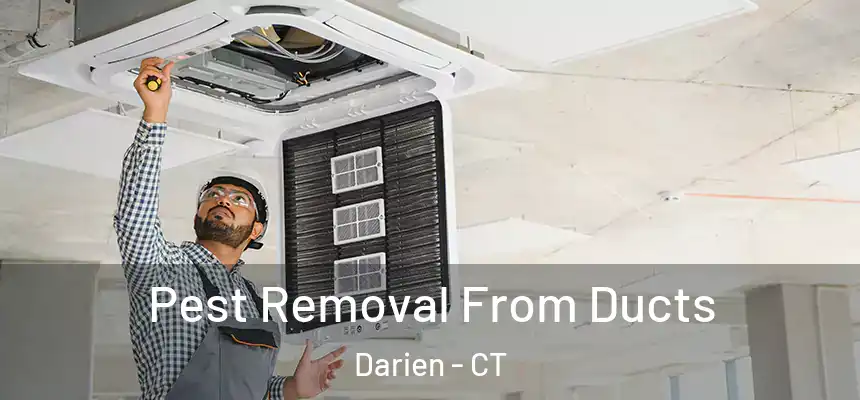 Pest Removal From Ducts Darien - CT