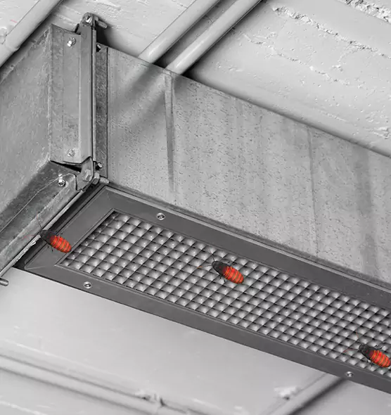 Affordable Insect Removal from Air Ducts in Darien, CT